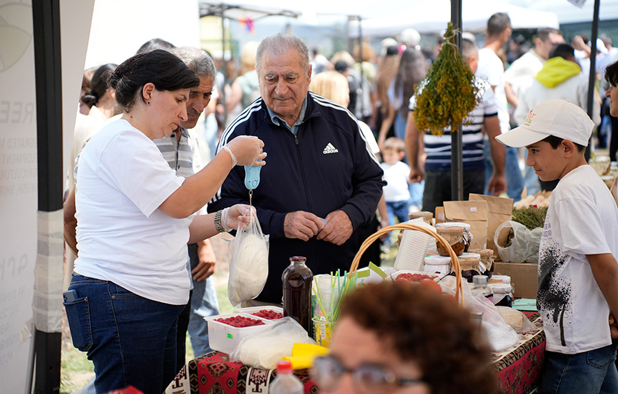 «Berry Festival 2024»